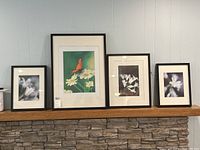 Four framed prints arranged on a stone mantel showing black frames and floral/butterfly subjects.