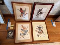 Five framed bird artworks are shown together on a hardwood floor. Four large prints featuring different birds are visible along with one small framed piece with a bird silhouette.