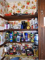 Shelf of home care and cleaning supplies with pest control sprays, cleaning agents, and flashlights.