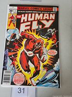 Front cover of The Human Fly #1 comic book showing the main character in dynamic action pose, colorful artwork, priced 30 cents, newsstand edition.