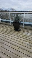 Blue spruce tree in glazed ceramic planter positioned on a wooden deck with river view in the background.