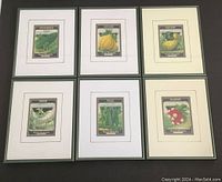 Full view of six framed seed packs arranged in two rows showing variety of vegetable seed packs with colorful vintage graphics.