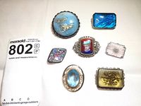 Seven brooches laid out on white background with measurement card