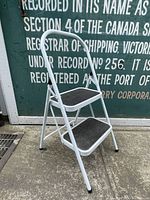 Full view of two-step white metal ladder with black steps and curved handle