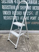 Front view of white two-step metal ladder with curved safety handle, showing two wide steps and rubber capped feet.