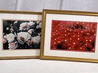 Two framed original photos of garden flowers, one with white and light pink roses, the other with red and orange flowers, shown side by side.