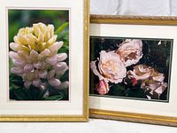 Two framed floral photographs with gold frames side by side, highlighting overall presentation and size.