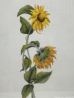 Close-up image of the watercolor print showing two sunflowers with green leaves in detail, highlighting the colors and the signature of A. Shelton.