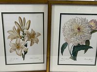 Two framed botanical flower prints side by side: left is white lilies, right is white peonies.