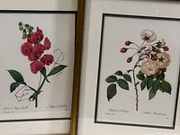 Photo showing two framed botanical prints side by side, one with pink sweet pea flowers and the other with white-pink rose flowers, both within framed boundaries.
