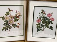 Photo showing both framed floral prints side by side. Each print has a white mat with green border and is framed in gold with beaded detailing.