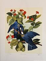 Full view of signed and numbered lithograph depicting two blue whistling ducks on branch with red flowers and green leaves.
