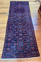 Full view of the entire runner rug showing overall pattern and color tone.