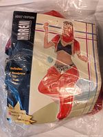 Packaged Genie costume in original bag labeled 'Adult Costume Harem' showing model wearing red harem pants, headpiece, and cropped top