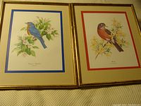 Pair of framed bird prints showing Eastern Bluebird and Robin, each with corresponding colored mats and gold frames