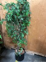Front view of large artificial tree with dense green leaves in black pot, showing overall structure and leaf detail.
