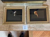 Two framed Paul Murray pictures laying flat on the floor, with distinct gold frames and black matting, with visible artist signatures.
