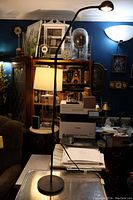 Black metal flex arm floor lamp shown standing in room, with bowl-shaped lamp head.