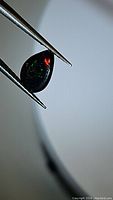 Pear-shaped black opal gemstone held with tweezers showing red and green color flashes against a light background.