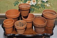 Seven assorted used terracotta pots on wooden surface showing sizes and conditions