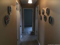 Hallway wall with six bird collector plates arranged in circular pattern