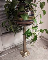 Blown glass bowl with amber and brown stripes on brass stand holding a live plant.