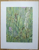 Full view of the signed and numbered limited edition print showing the detailed nature illustration with cattails, fireweed, and a yellowthroat bird.