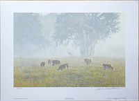 Full image of the artwork showing cows grazing in a misty meadow, signed by Robert Bateman with print number.