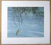 Full view of the signed and numbered print showing the image of two hummingbirds near pine branches over water with Robert Bateman's signature and edition number visible.