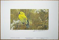 Full view of the limited edition print showing the goldfinch perched in meadow grass and flowers, signed and numbered in pencil beneath the image.