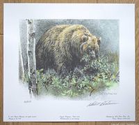 Full view of the signed and numbered 'Grizzly Foraging' limited edition print showing the grizzly bear artwork.