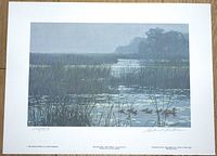 Limited edition print of a marsh scene with mallard ducks signed by Robert Bateman, showing the full print with margin and signature.