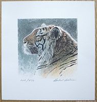 Frontal view of the lithograph showing the Siberian Tiger profile, hand-signed and numbered.