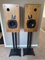 Front view of two wooden bookshelf speakers sitting on matching black dual-post stands with rectangular bases, showing drivers and port holes.