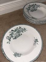 Six stacked vintage side plates showing green bird and floral pattern on white ceramic base.