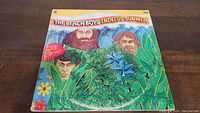 Front cover of The Beach Boys Endless Summer vinyl album, showing illustrated portraits of band members surrounded by tropical plants and flowers.