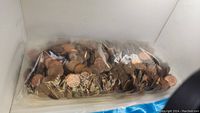Clear plastic bag filled with a large quantity of mixed pennies showing copper color and some wear, shot at close range