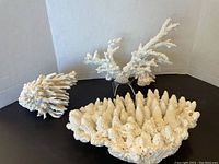 Three white coral pieces displayed against a neutral background, showing all items together for size and form comparison.