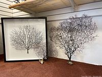 Three coral pieces arranged on floor: two large brown branch coral specimens with bases and one square framed shadow box with mounted coral inside.