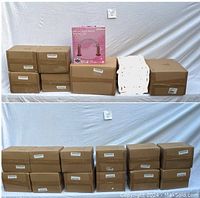 Stack of cardboard boxes containing the lot items with an inflatable arch sprinkler box visible.