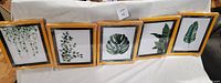 Front view of set of 5 framed green foliage prints arranged in a row.