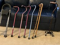 Seven canes with different prongs and colors, including wooden and metal designs, positioned on the floor against a couch.