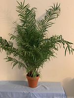 Full view of the large faux fern plant in the terracotta pot, showing the overall height and fullness of the leaves.