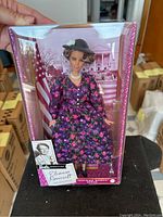 Barbie Eleanor Roosevelt Inspiring Women doll visible through clear box with background scenery and front labeling.