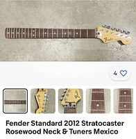 Full-length view of maple neck with rosewood fingerboard and headstock on concrete floor