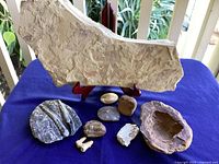 Front view of 9 fossils including large imprinted slab, trilobite, bones, and other stone fossils on a blue cloth background