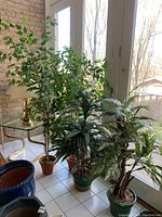 Four faux plants grouped together by a large window on tiled floor, showing foliage and planters.