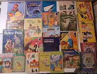 Photo showing the full collection of children's books in the lot on a surface, displaying titles and colorful covers