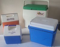 Four coolers, two Igloo small sizes, one medium Igloo, one larger Coleman cooler