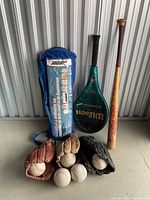 Full view of all items: blue Cooper inflatable set bag, Wilson softball paddle, wooden bat, three gloves each with a ball inside and additional balls on ground.